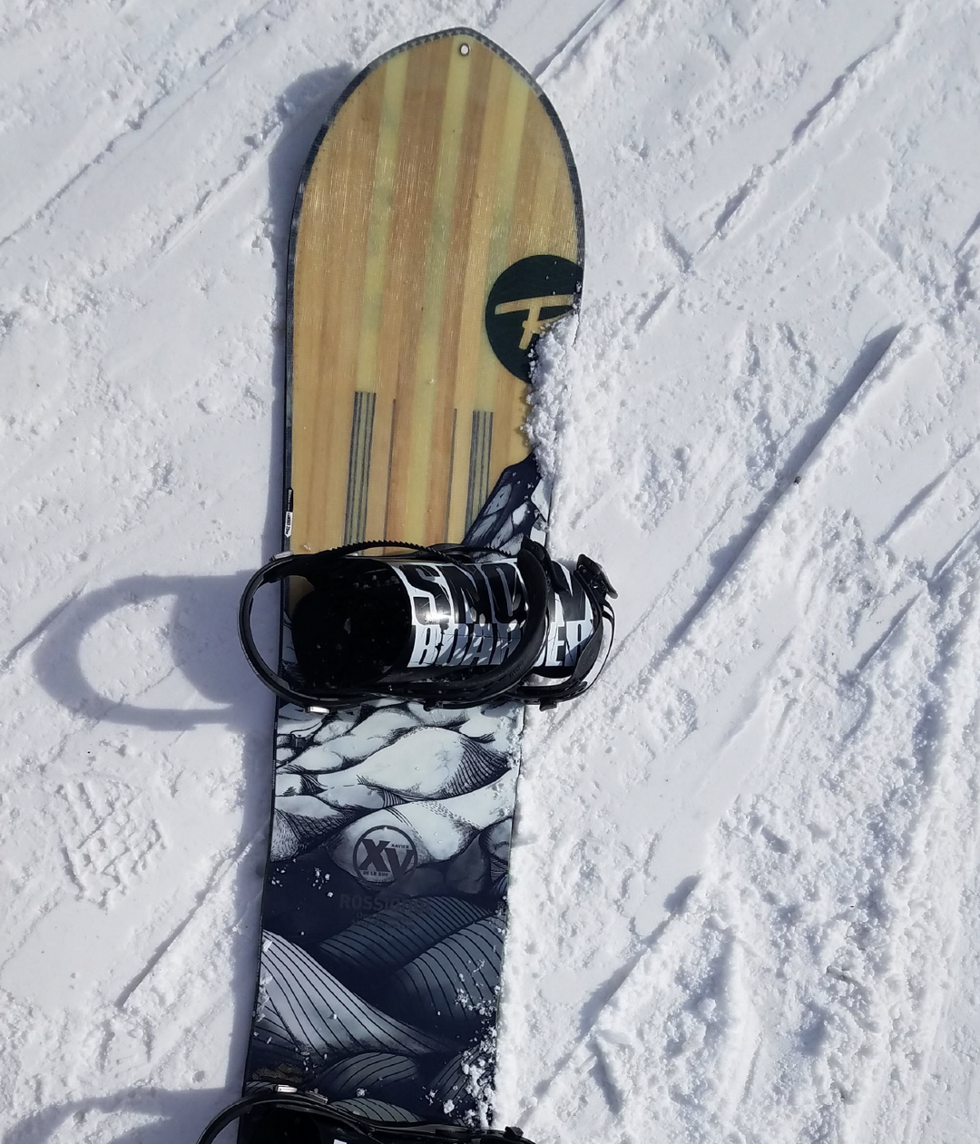 Snowboard